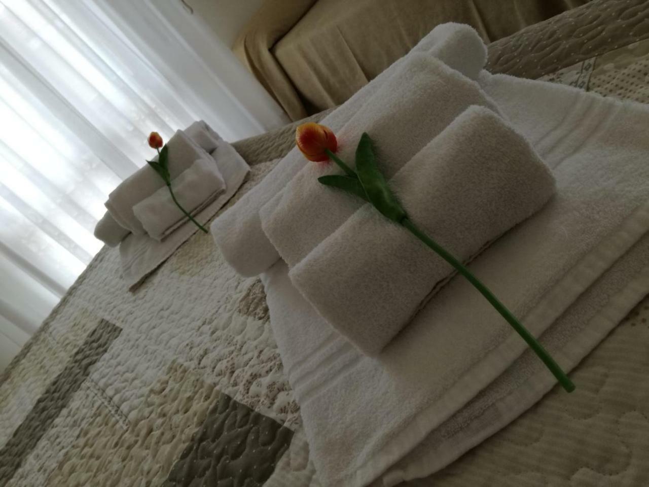 Hotel Giulia マリーナ・ディ・マッサ エクステリア 写真